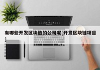 有哪些开发区块链的公司呢[开发区块链项目]