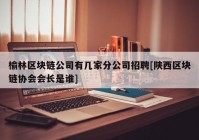 榆林区块链公司有几家分公司招聘[陕西区块链协会会长是谁]